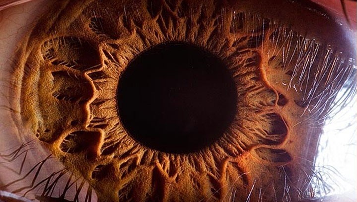 15 واقعیت درباره چشم انسان